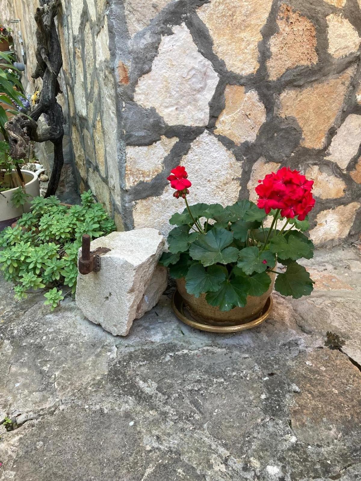 Apartments Lavandis Μούρτερ Εξωτερικό φωτογραφία